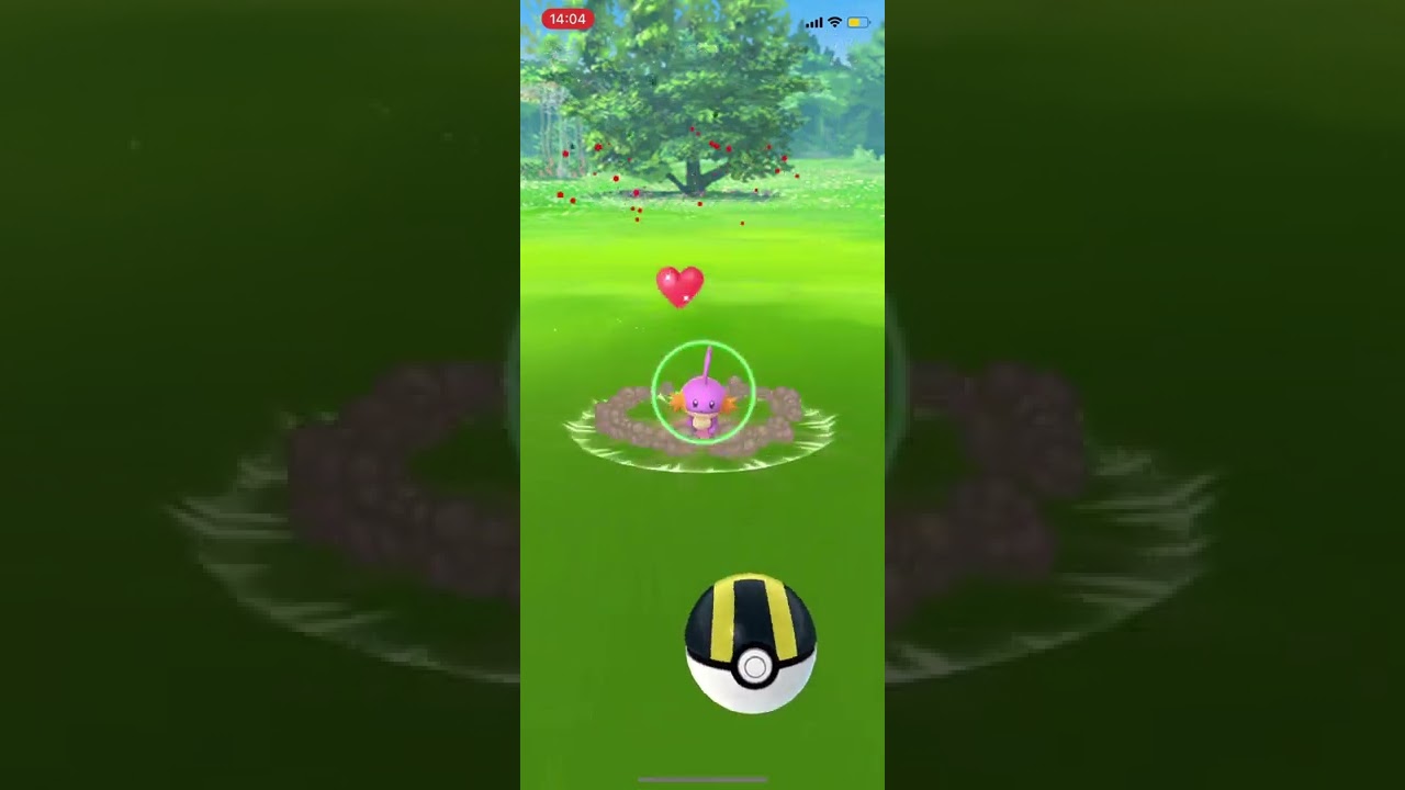 ポケモンGO色違いミズゴロウ