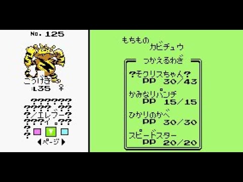 ポケモン　謎の隠しアイテム『テルサマ』