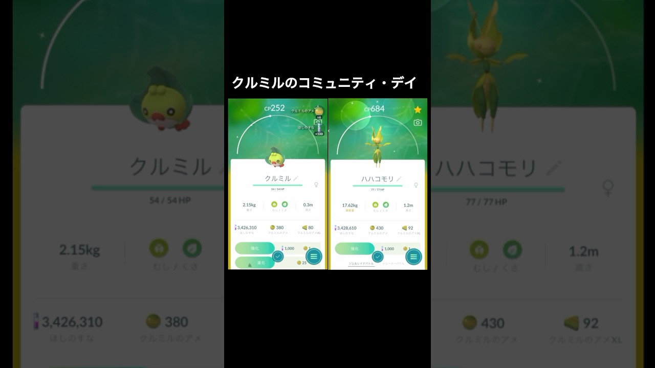 コミュニティ・デイで色違いクルミルをGET！ハハコモリに進化！