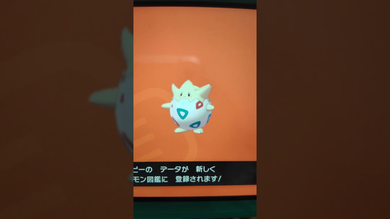 【ポケモンソード】トゲピー捕まえたぁ