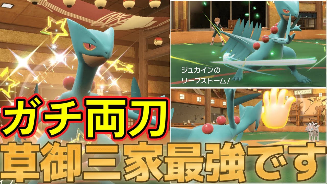 【第22弾】かるわざ×㊙技の色違いガチ両刀ジュカイン！皆様の推しポケで戦う！目指せ1025匹！