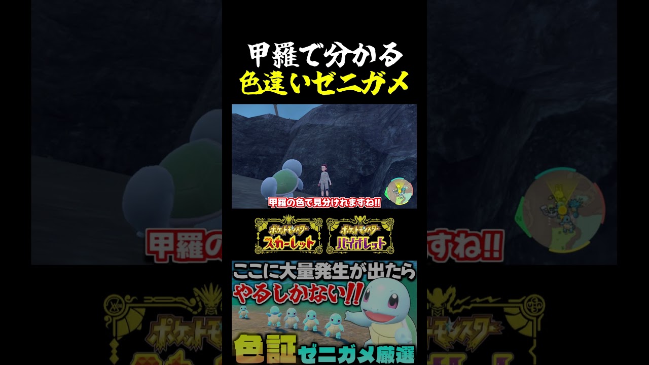 【ポケモンSV】色証ゼニガメ出現!! 厳選しにくい初代御三家｢ゼニガメ｣が厳選しやすくなる場所で色証厳選!!【切り抜き】【色違いポケモン】【色違い厳選】#shorts