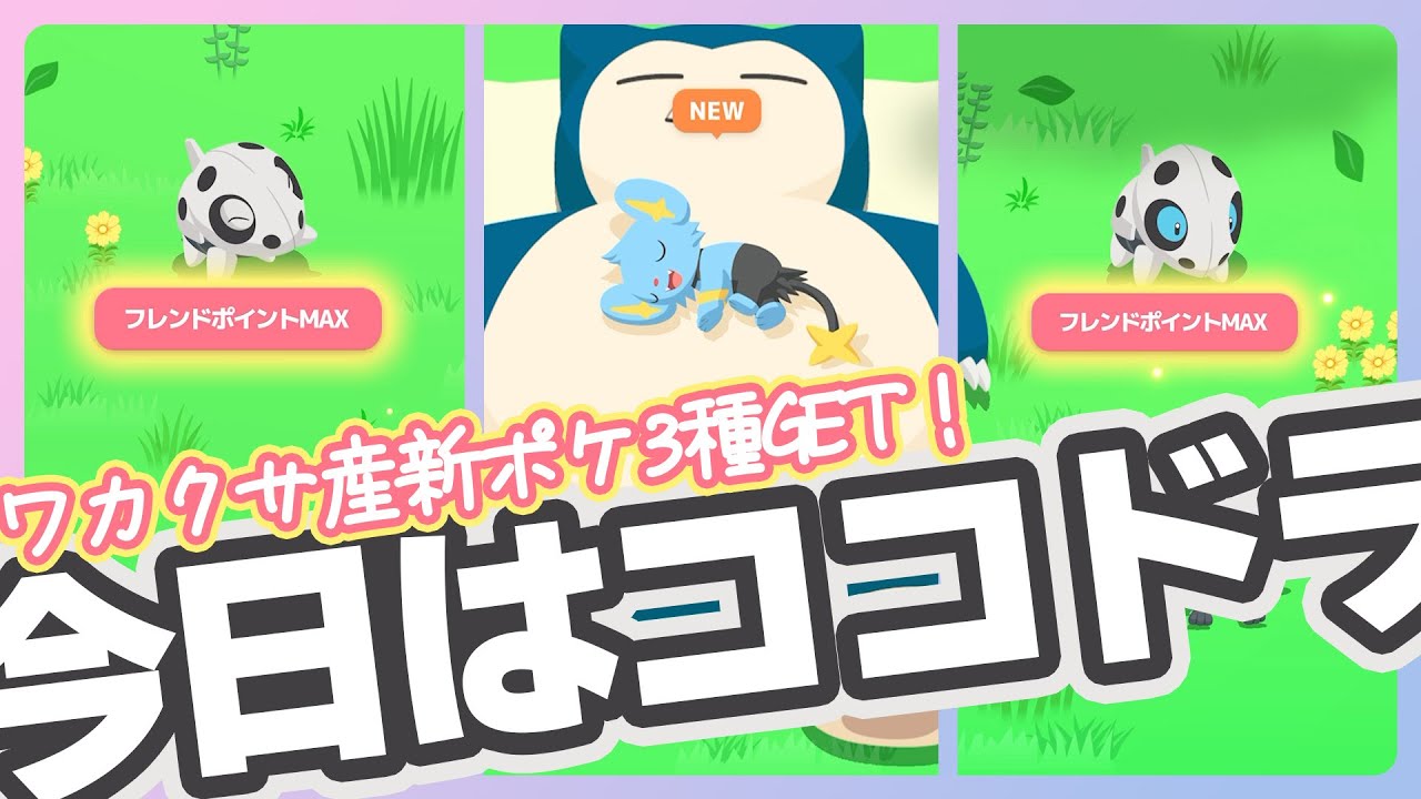 【ゴール電キャンペーン】ワカクサ産新ポケ3種コンプリート！ココドラ祭り！【ポケモンスリープ】