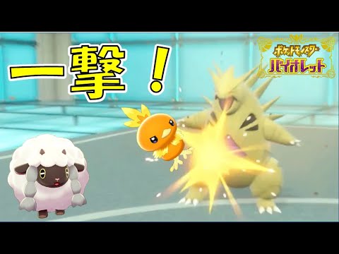 600族のバンギラスも余裕でワンパンするアチャモ【ポケモンSV/ゆっくり実況】