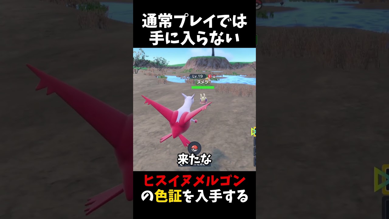 SV通常プレイでは入手できない「ヒスイヌメルゴン」の色証が欲しい！！【ポケモンSV】