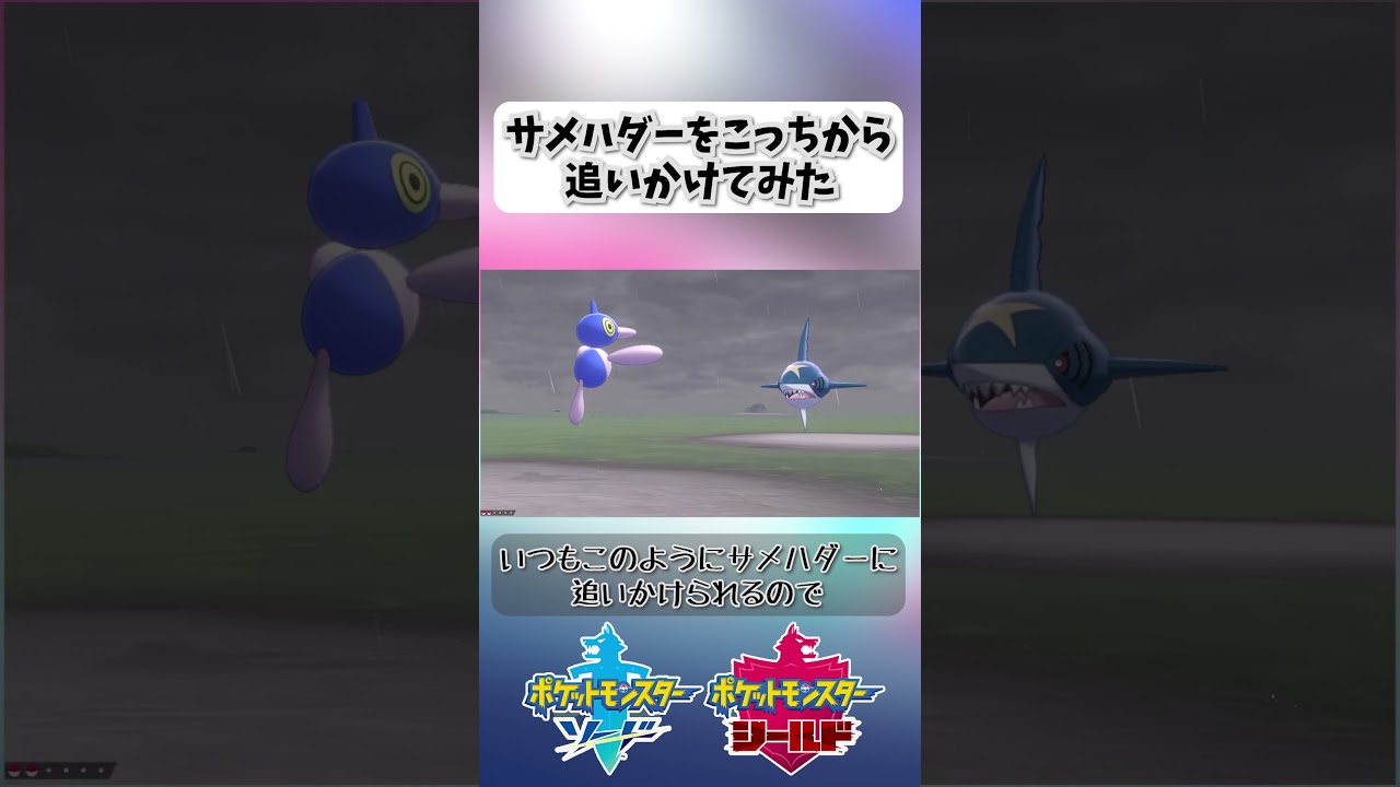 サメハダーをこっちから追いかけてみた【ポケモン剣盾】 #shorts #ポケモン剣盾 #サメハダー #ホエルオー #鎧の孤島