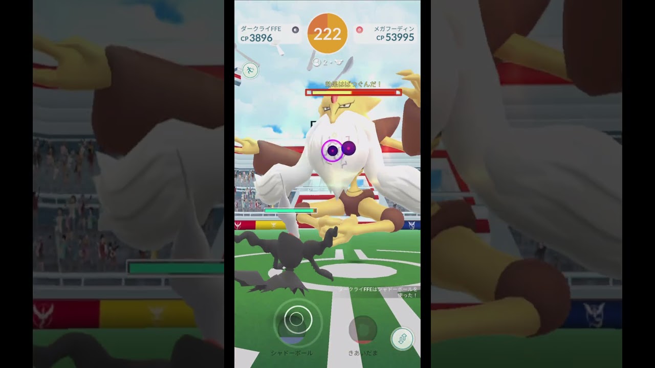 メガフーディン２人討伐