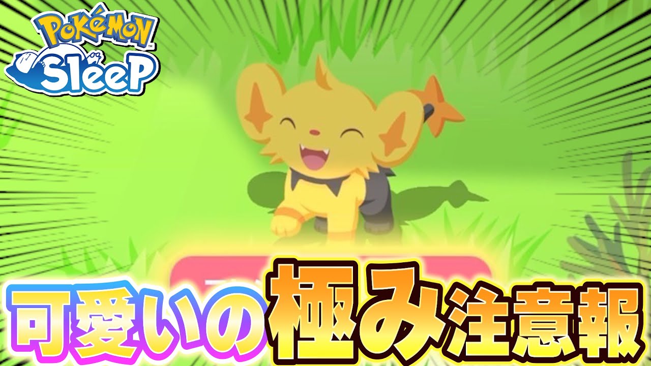 コリンクって黄色な見た目ですよね？？？【ポケモンスリープ/ゴールド旧発電所】