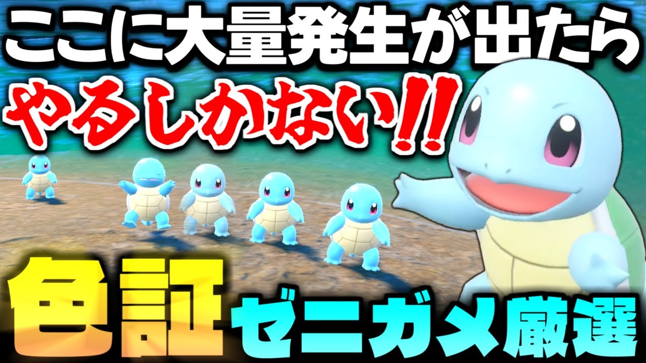 【解説あり】ここに出たら大チャンス!?初代御三家｢ゼニガメ｣のレア証持ちを目指して色証厳選!!【ポケモンSV】【色違いポケモン】【色違い厳選】