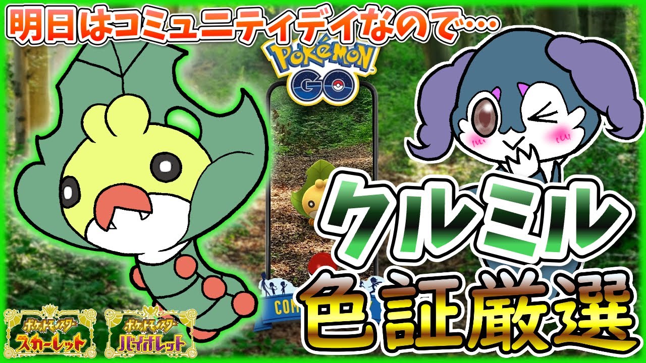 【ポケモンSV】コミュニティデイ前日にクルミルの色証厳選しちゃいますｗｗｗ【クルミル色証】【ポケモンGOじゃないよ】