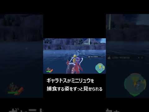 色違いミニリュウを捕まえる方法がシュール #shorts