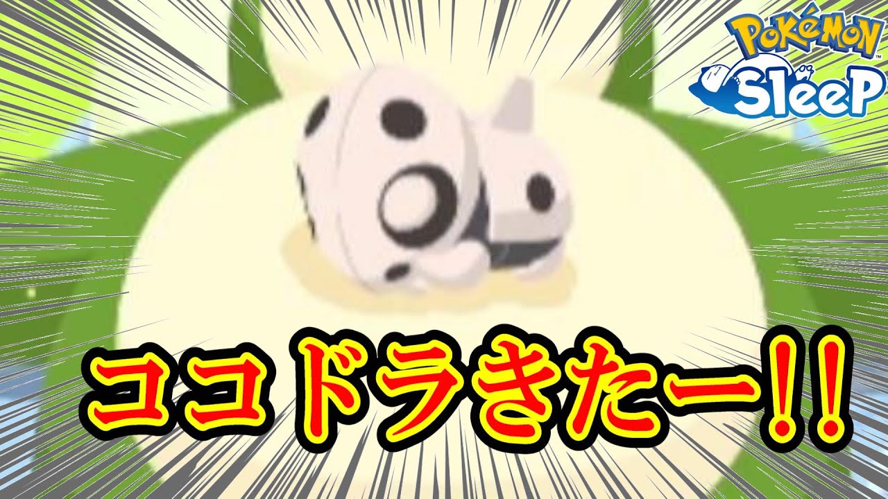 ココドラきたー！　まってました！！