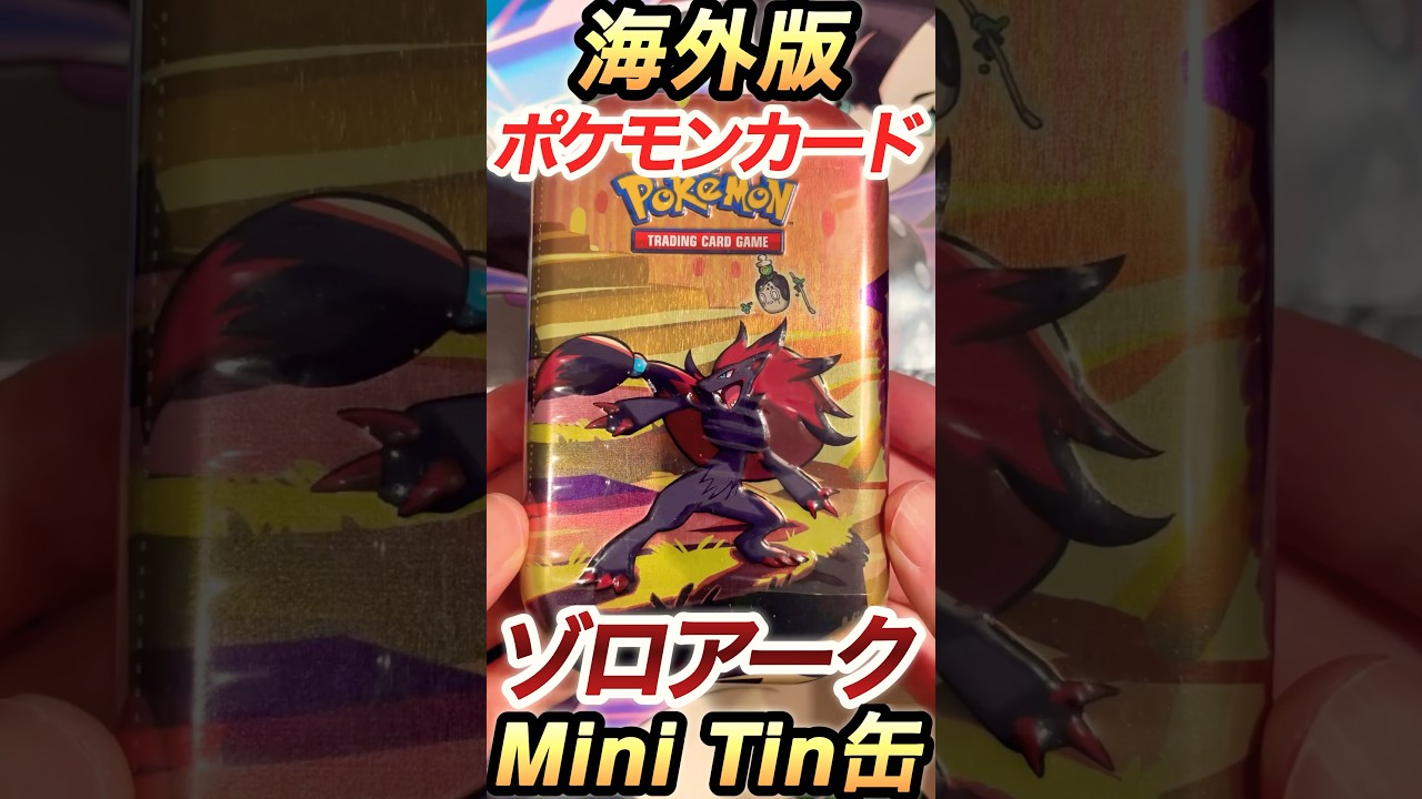 【ポケカ】ポケモンカード海外版ゾロアークMini Tin缶を開封！アートカード全て並べてみた✨🙌 #shorts