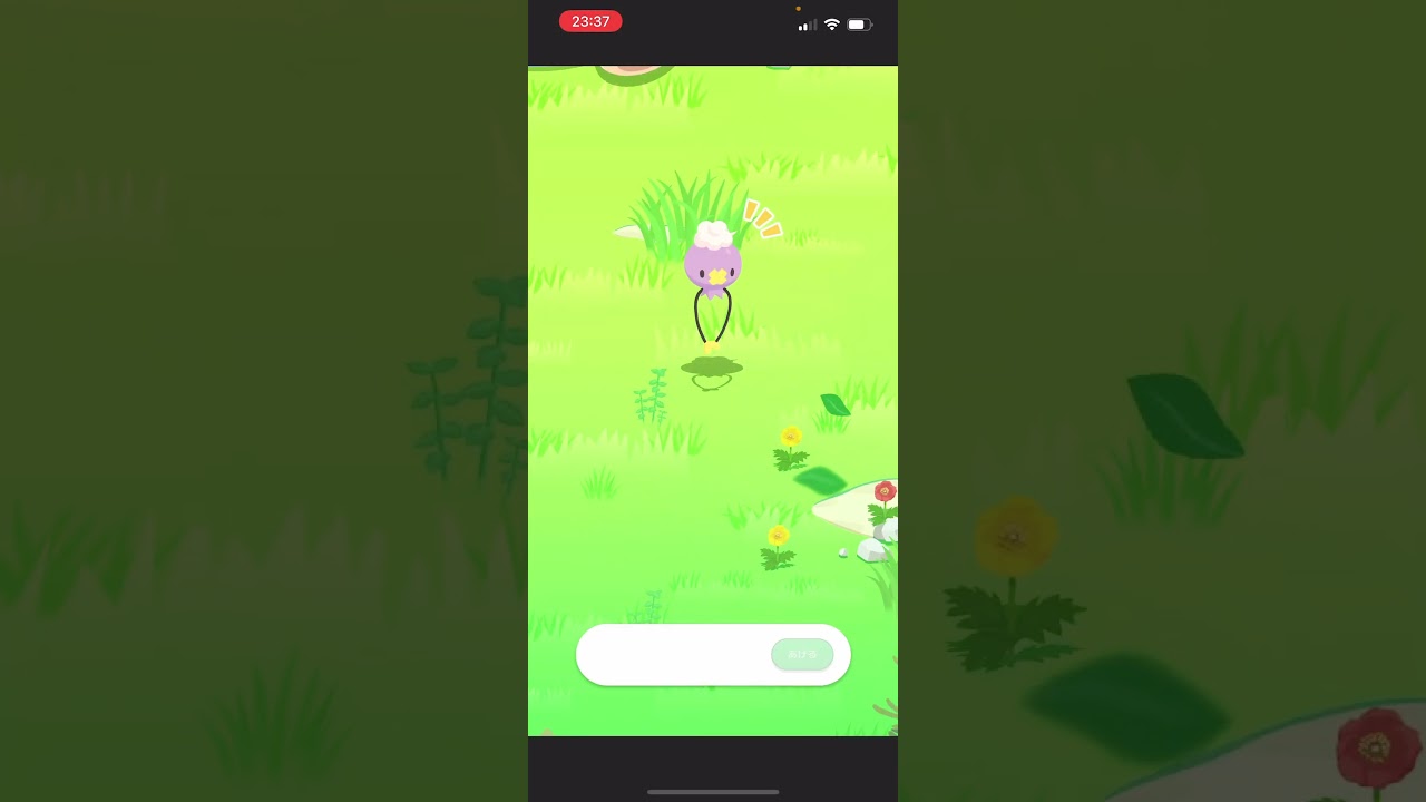 フワンテ大量発生!!!【ポケモンスリープ/Pokemonsleep】#Shorts #ポケットモンスター #ポケモンスリープ #寝起き