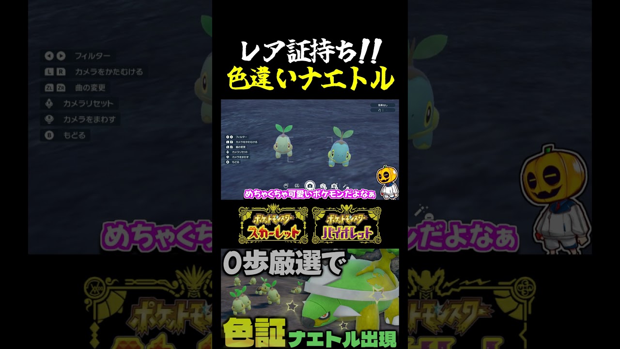 【ポケモンSV】レア証持ち出現!! ダイパ御三家｢ナエトル｣の色証厳選をしてたらついにゴール!!【切り抜き】【色違いポケモン】【色違い厳選】#shorts