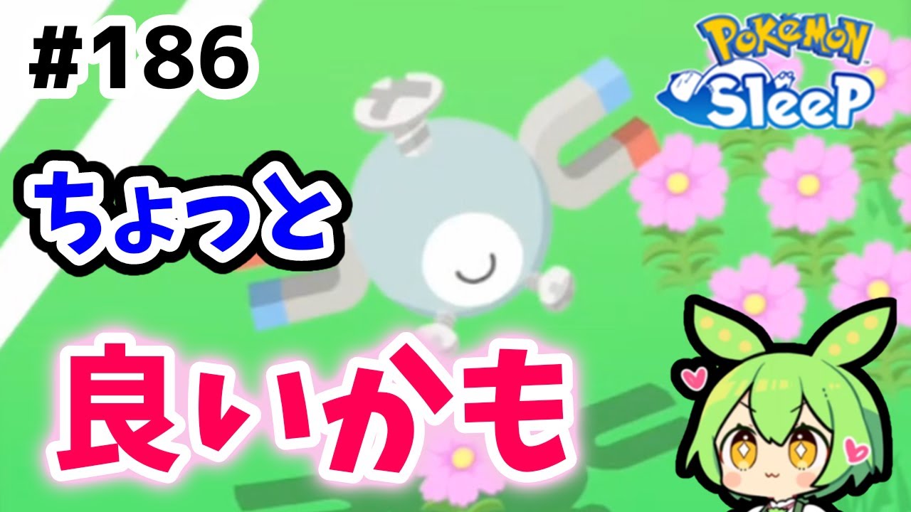 【睡眠リサーチ】＃186『このコイル強くなれるのか』【ポケモンスリープ/pokemon sleep】【無課金ゆっくり実況ずんだもん】
