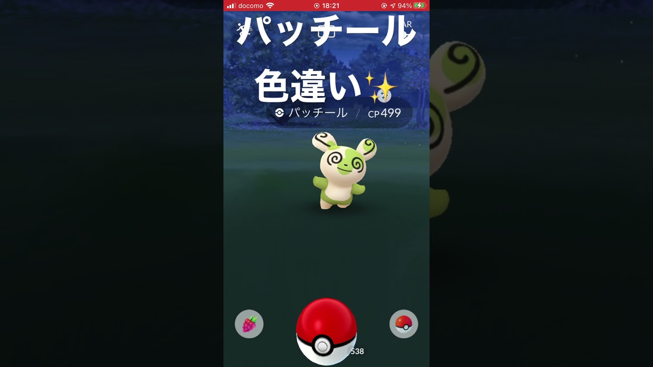 パッチール 色違い✨
