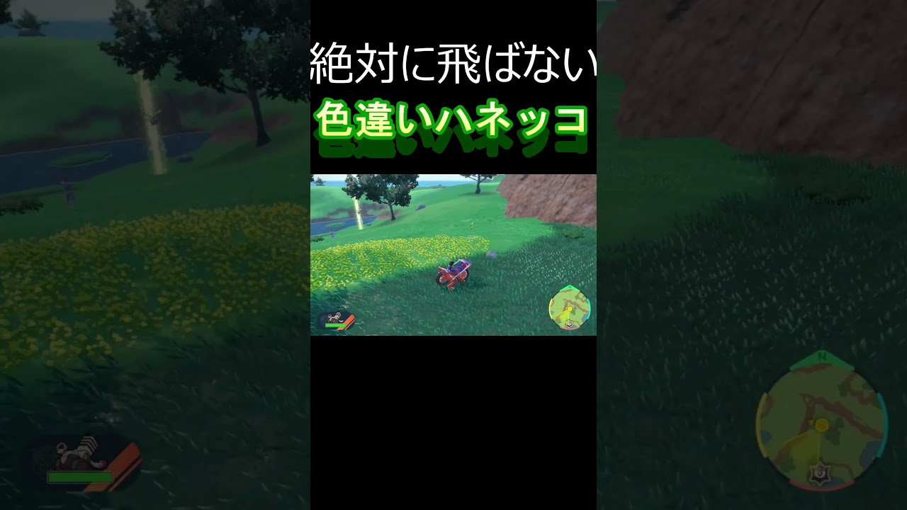 飛ばねぇハネッコはただのハネッコじゃねぇんだ　 #色厳選 #ポケモンsv #野生色違い厳選 #ゲーム実況 #ポケモン色厳選 #スカーレット