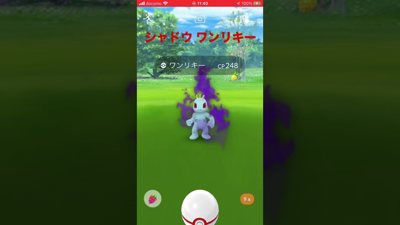 シャドウ ワンリキー