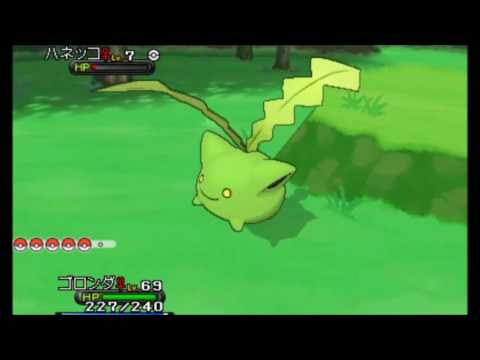 【色粘り】群れバトルで色違いのハネッコをゲット☆