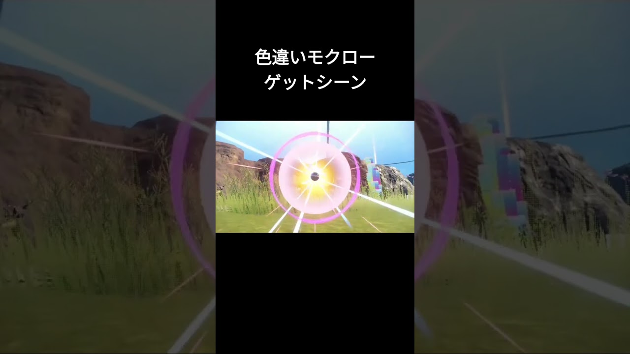 【ポケモンSV】色違いモクローをゴージャスボールでゲット！