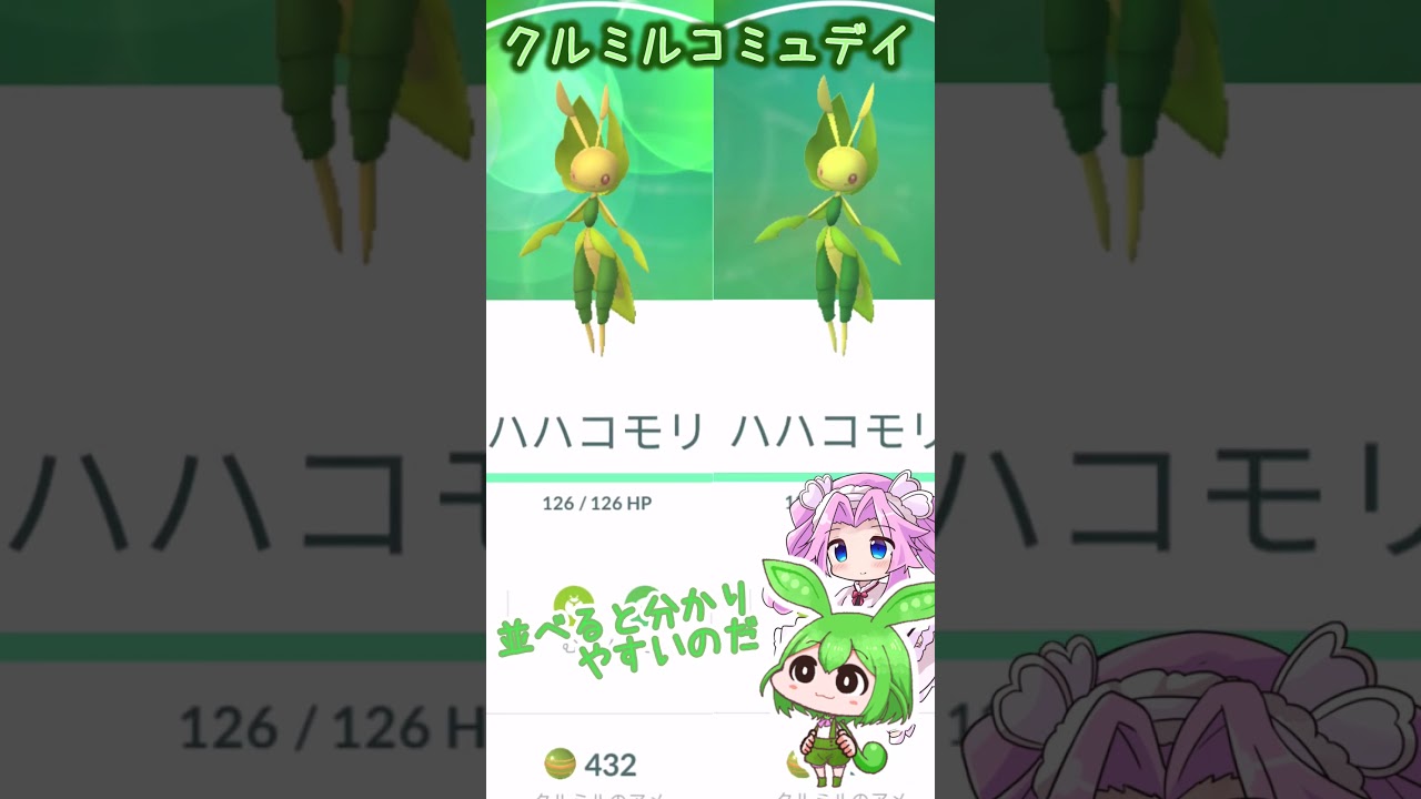 【ポケGO日記】クルミルコミュデイ とりあえず色違いGetなのだ‼ #shorts #ポケモンgo #クルミル #コミュデイ  #ずんだもん #四国めたん