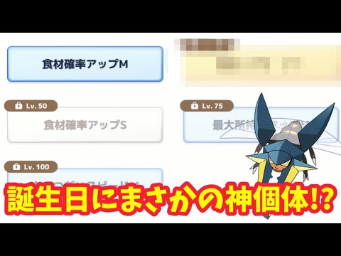 【ポケスリ】コーヒー厳選終了⁉これでコーヒー足りるか？【ポケモンスリープ】【POKEMON】