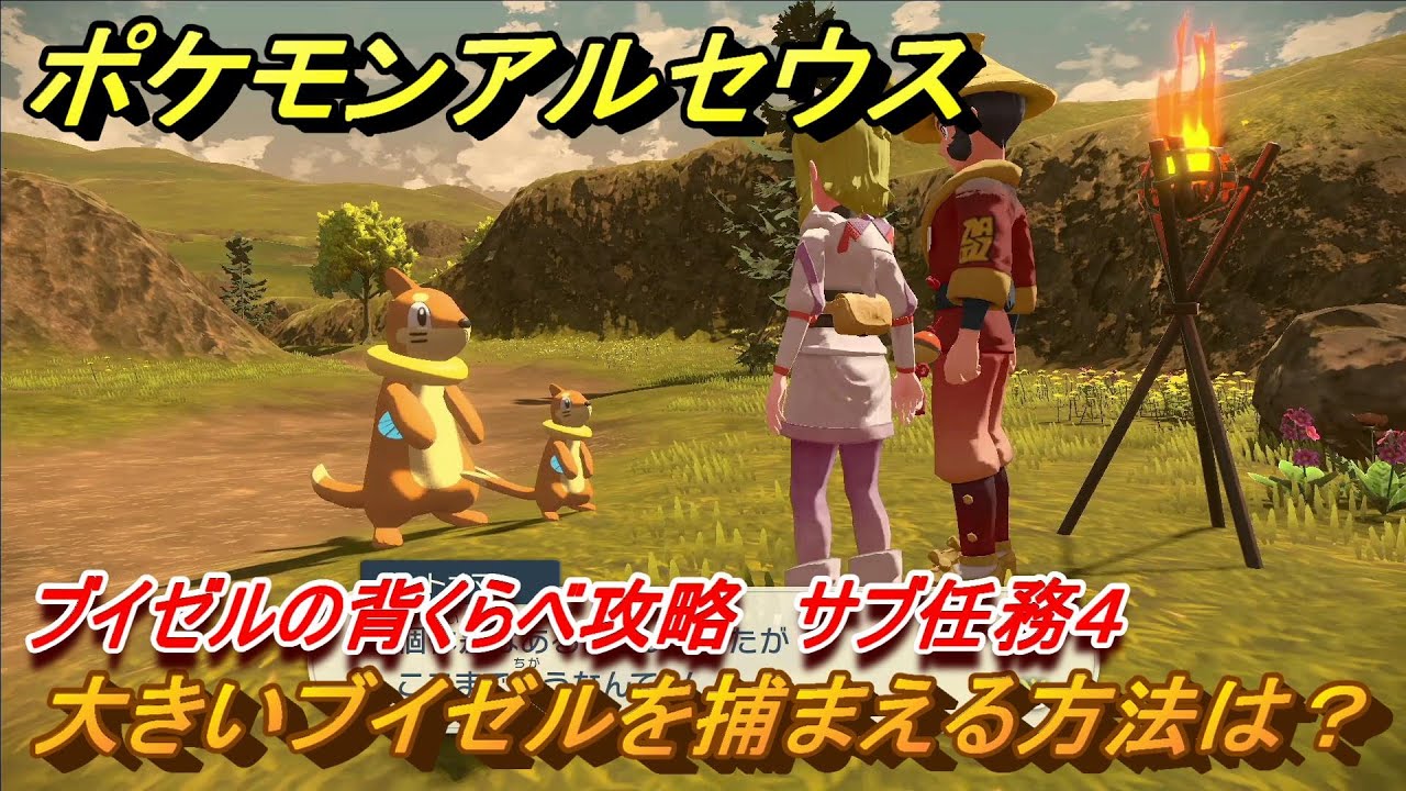 ポケモンアルセウス　大きいブイゼルを捕まえる方法は？　ブイゼルの背くらべ攻略　サブ任務４　＃５６５　【Pokémon LEGENDS アルセウス】
