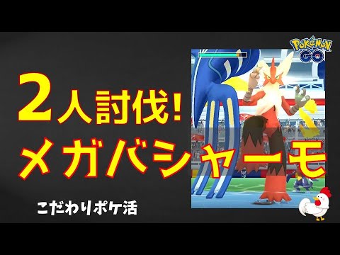 【メガバシャーモ！2人討伐、プラチナメダルゲット】#レイドバトル #ポケモンGo #レイドバトル #バシャーモ #ミュウツー #カイオーガ