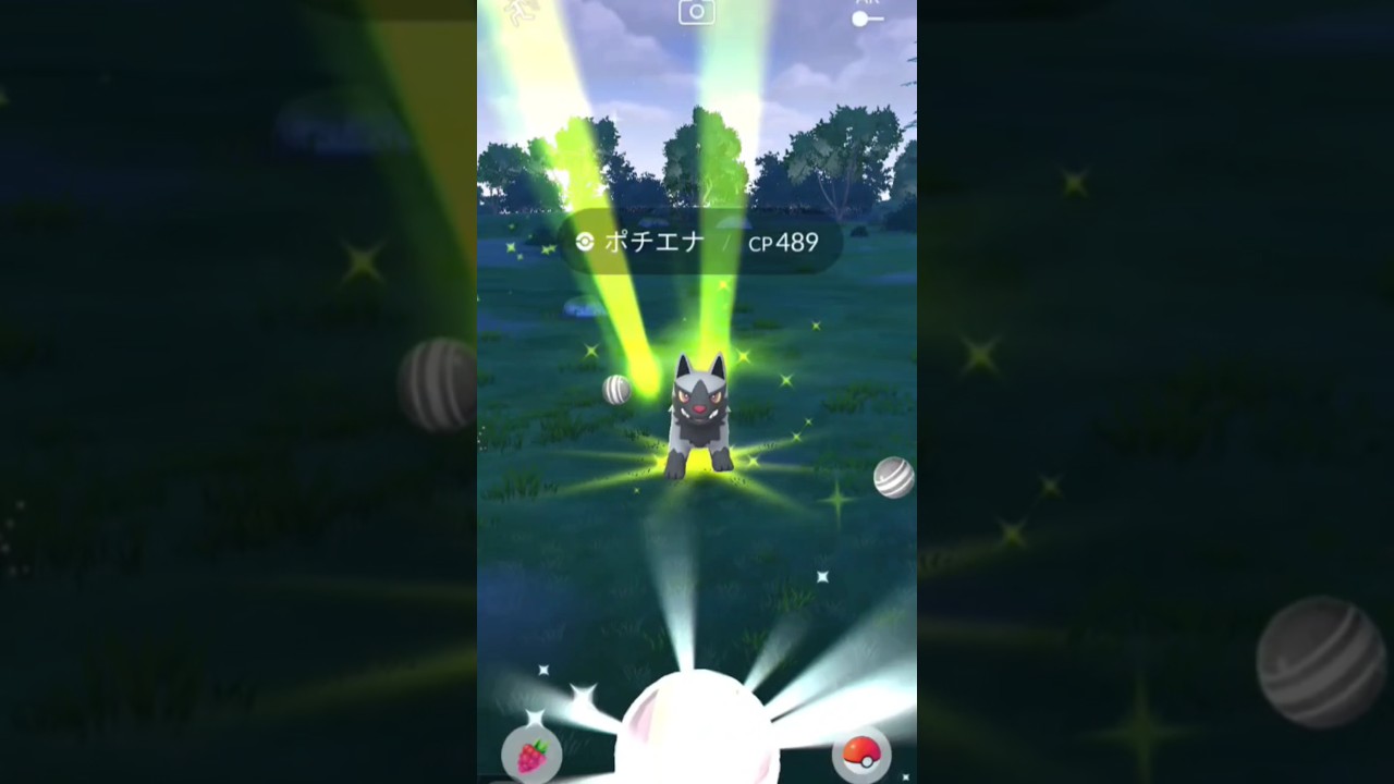 野生のポチエナを捕まえシーン　# 10