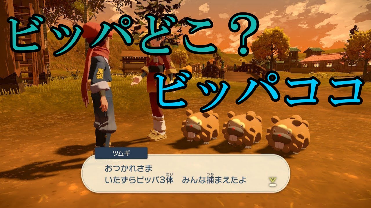 【レジェンド アルセウス】　ビッパ　場所　ここ