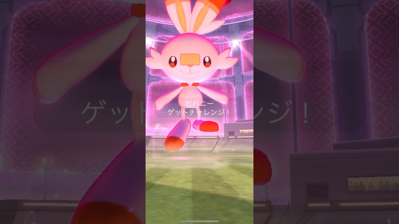 ダイマックスヒバニー 捕獲&ダイマックスチェンジ(ヒバニー,ラビフット,エースバーン)