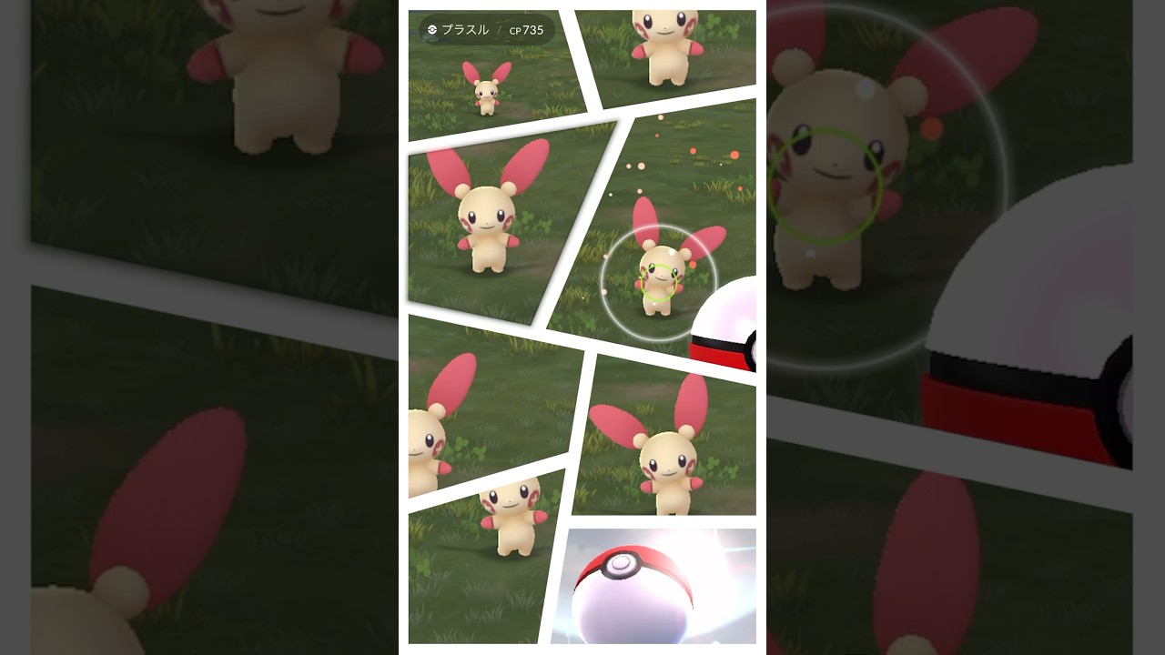 【個体値〇○〇⁈】磁力セミナータイムチャレンジ：プラスル #pokemon #ポケモンgo #ポケモン #ミッション