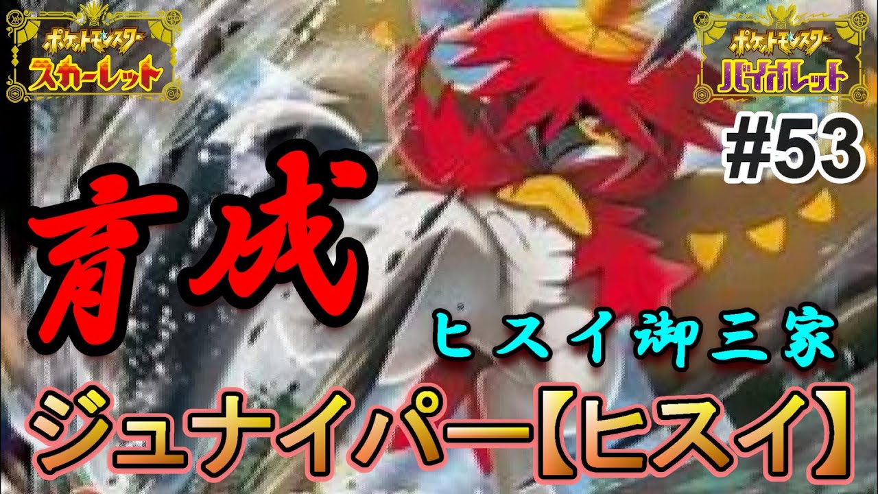 【ﾎﾟｹﾓﾝ研究所SV】ジュナイパー(ヒスイ)の使い方がマジでコレしか思いつかねぇ～(涙)【ﾚﾎﾟｰﾄ#53】