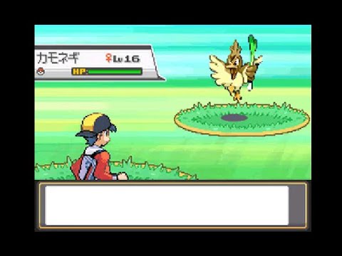 【サファリーゾーンに挑戦】幻のカモネギ　ポケモンハートゴールド・ソウルシルバー