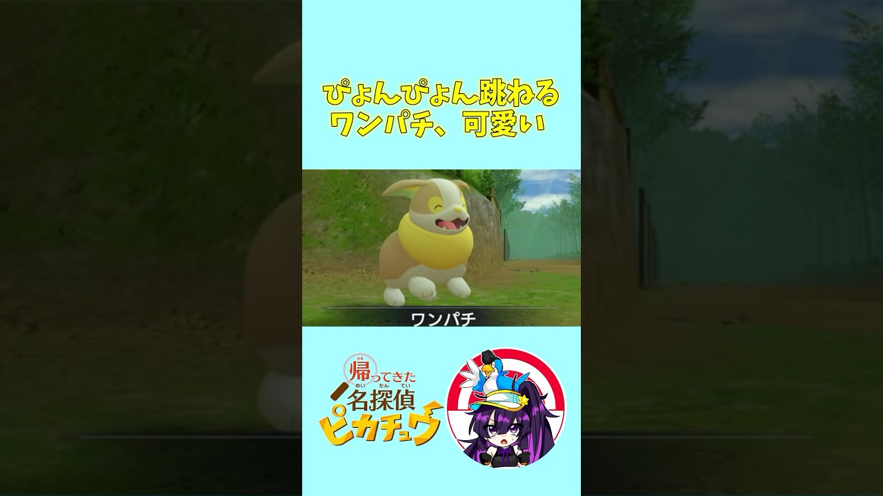 【帰ってきた名探偵ピカチュウ】ぴょんぴょん跳ねるワンパチ、かわいい　#ポケモン  #名探偵ピカチュウ #ワンパチ #shorts