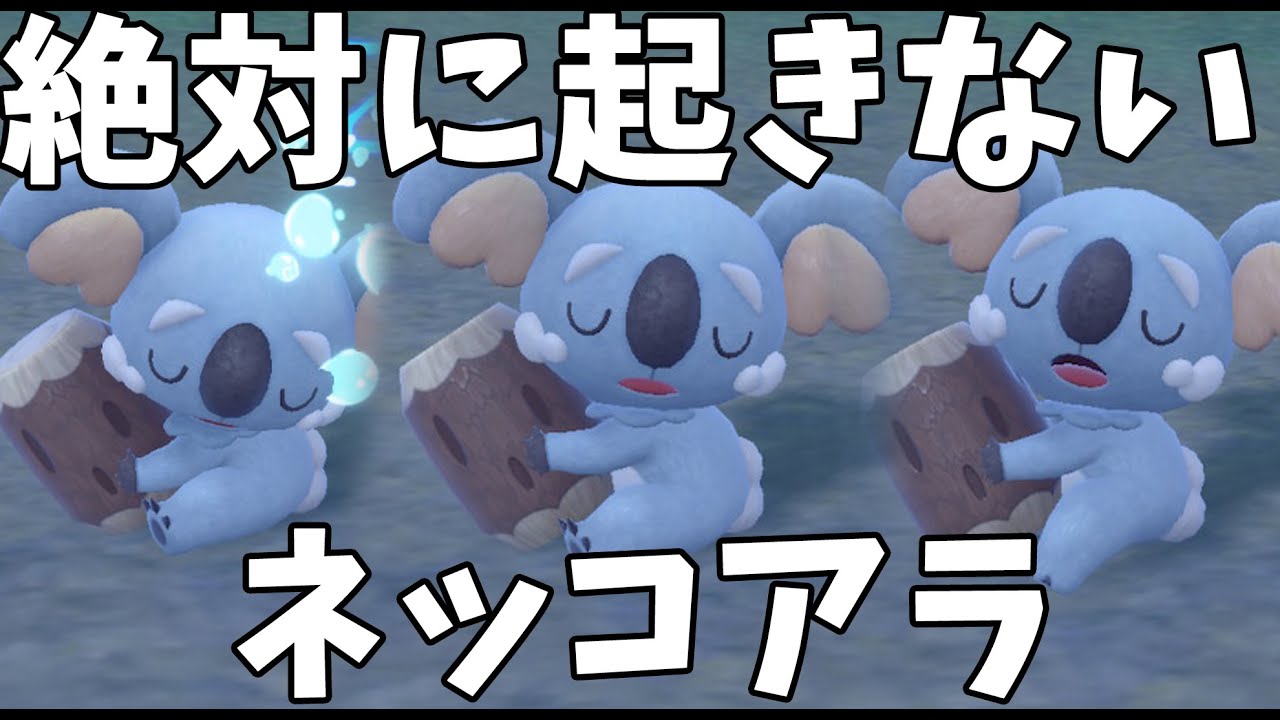 唯一無二の特性を持つ2世代ぶりの「ネッコアラ」【ポケモン バイオレット】RIN-CHAN.