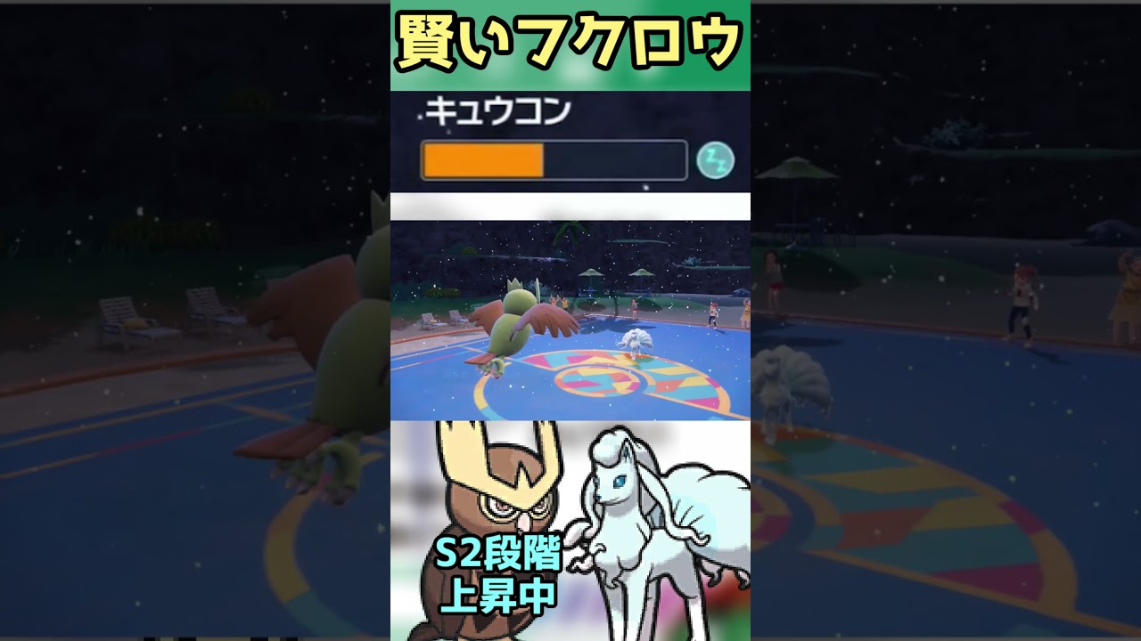 うちのフクロウはすごく賢い【CS振りヨルノズク】#shorts  #配信切り抜き  #ポケモンsv #ポケモン