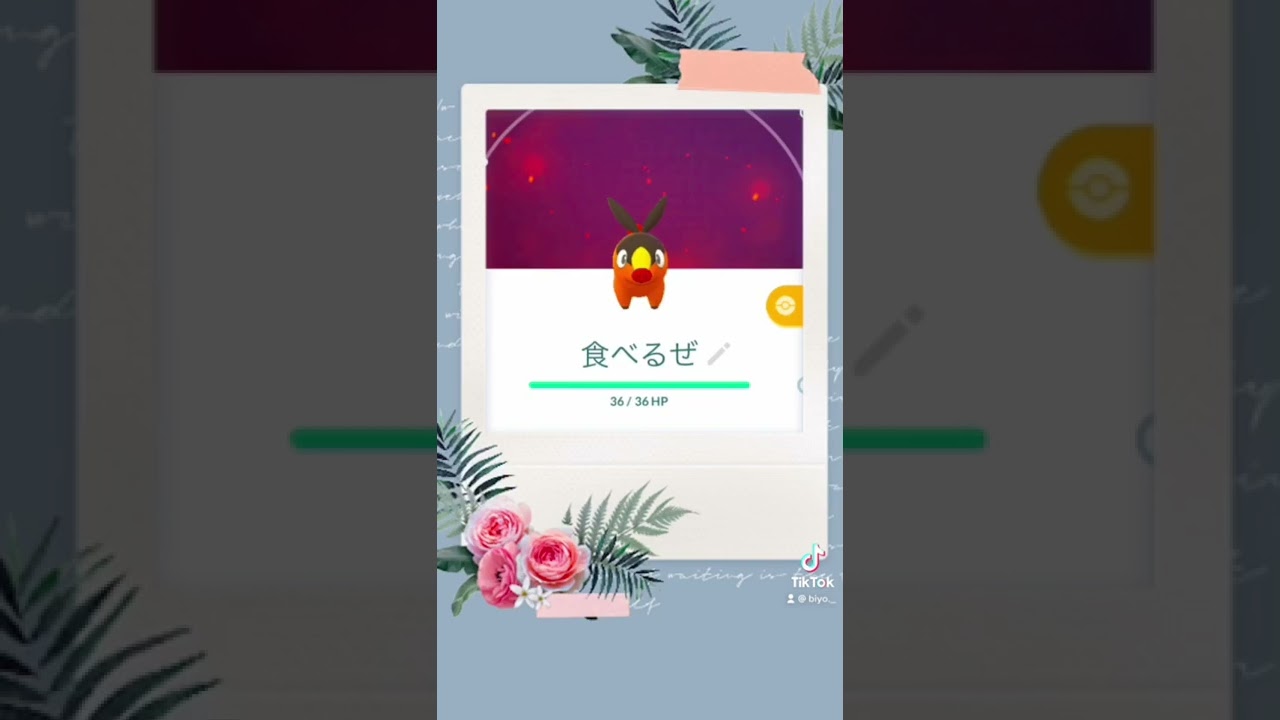 #ポケモン#ショートストーリー#ポカブ#木の実#Shorts  🌸💕✨