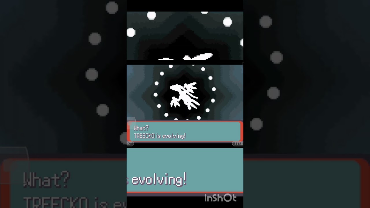 Finelly treecko is evolve #pokemon #evolution #shorts #pokémon #shorts #pokemonemerald