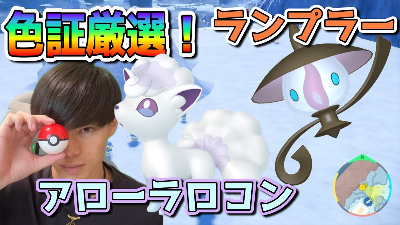 ランプラー/アローラロコン色証厳選！【ポケモンSV】