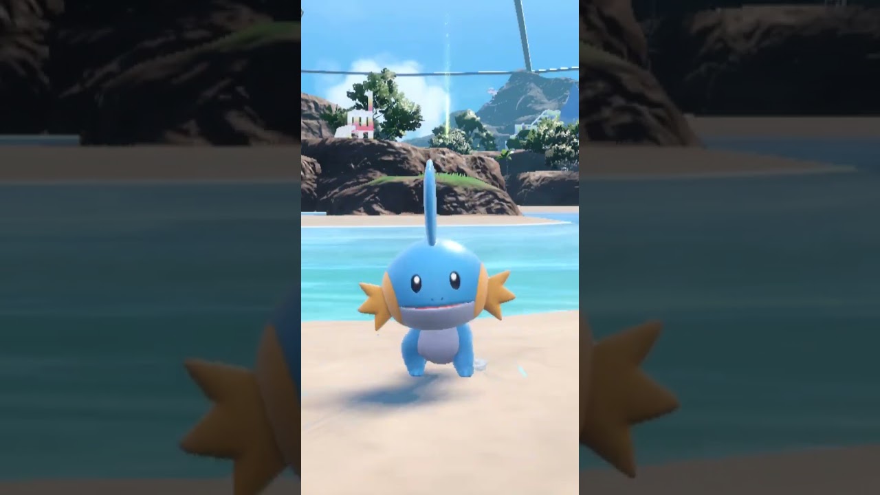 ミズゴロウ Mudkip【ポケモンsv】