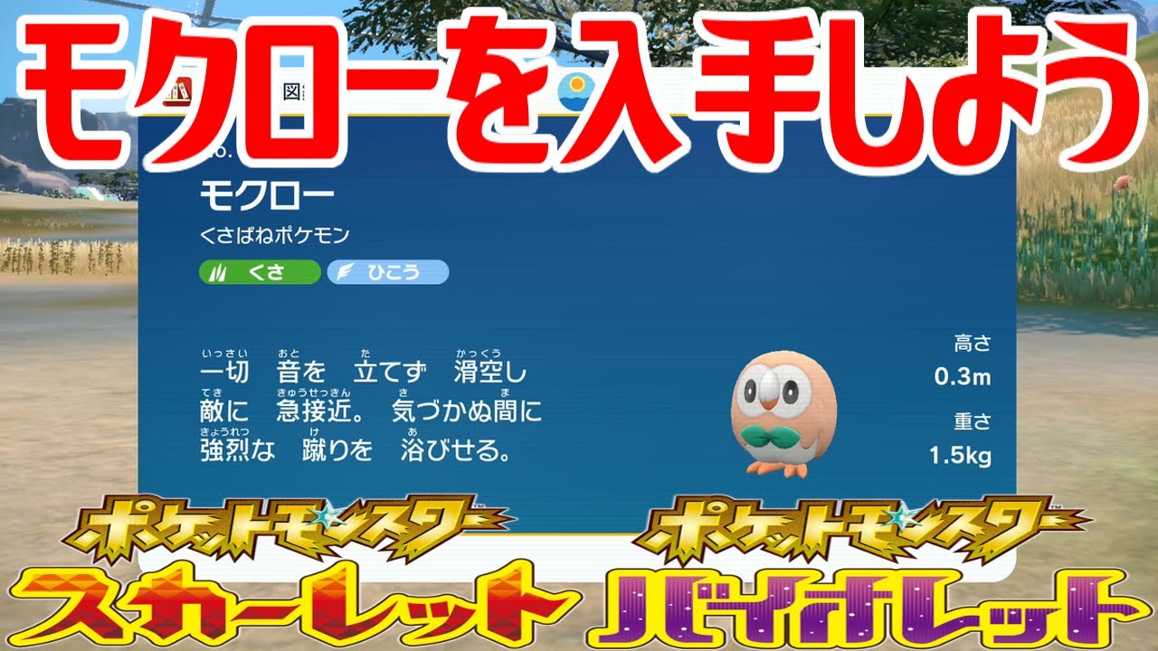 【ポケモンSV】モクローを入手しよう【ポケットモンスター スカーレット・バイオレット ゼロの秘宝 藍の円盤】Pocket Monsters