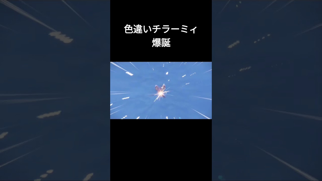 【ポケモンSV】色違いチラーミィ出現シーン