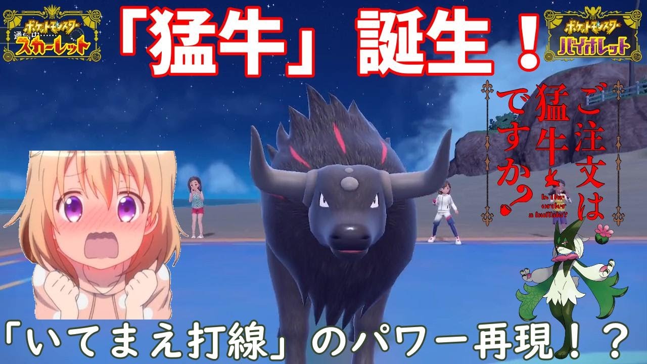 【ポケモンSV】ご注文は『猛牛』ですか？【パルデアケンタロス】