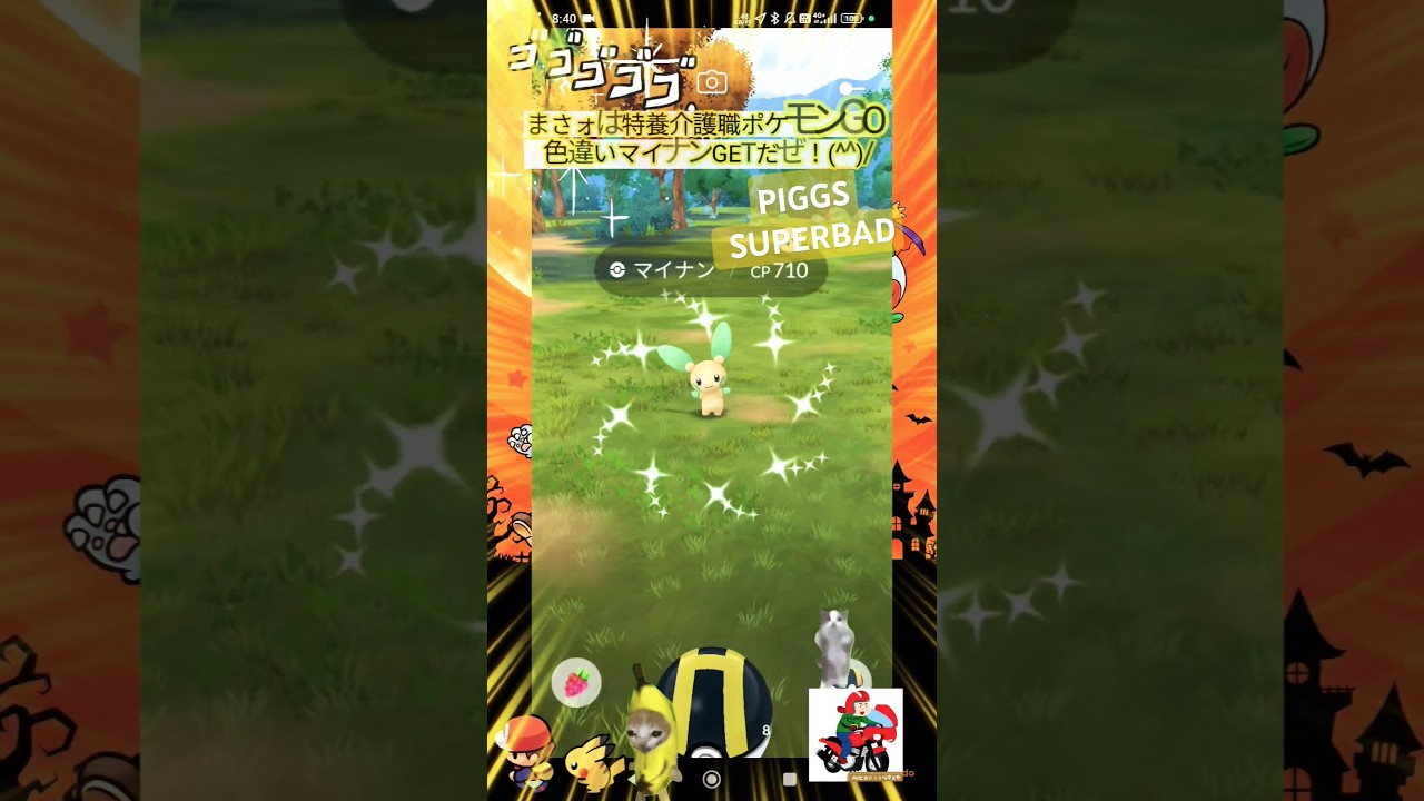 【Pokémon GO】ビリっと色違いマイナンGETだぜっ！「介護職夜勤明け目覚め飯オススメ冷凍汁なし担々麺」feat.マイケル・ボルトンwithハードオフDIG