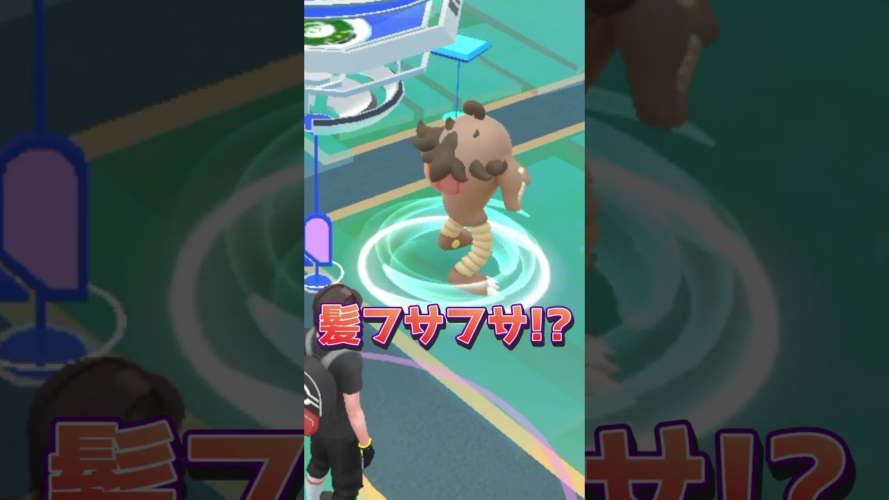 【ポケモンGO】髪フサフサのサワムラー / Hitmonlee !?【Pokémon GO】4K 60FPS #shorts