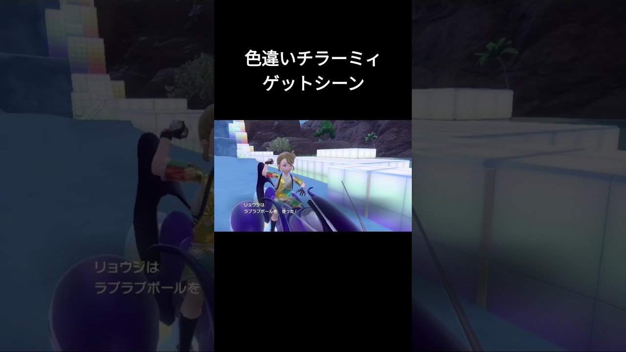 【ポケモンSV】色違いチラーミィをラブラブボールでゲット！