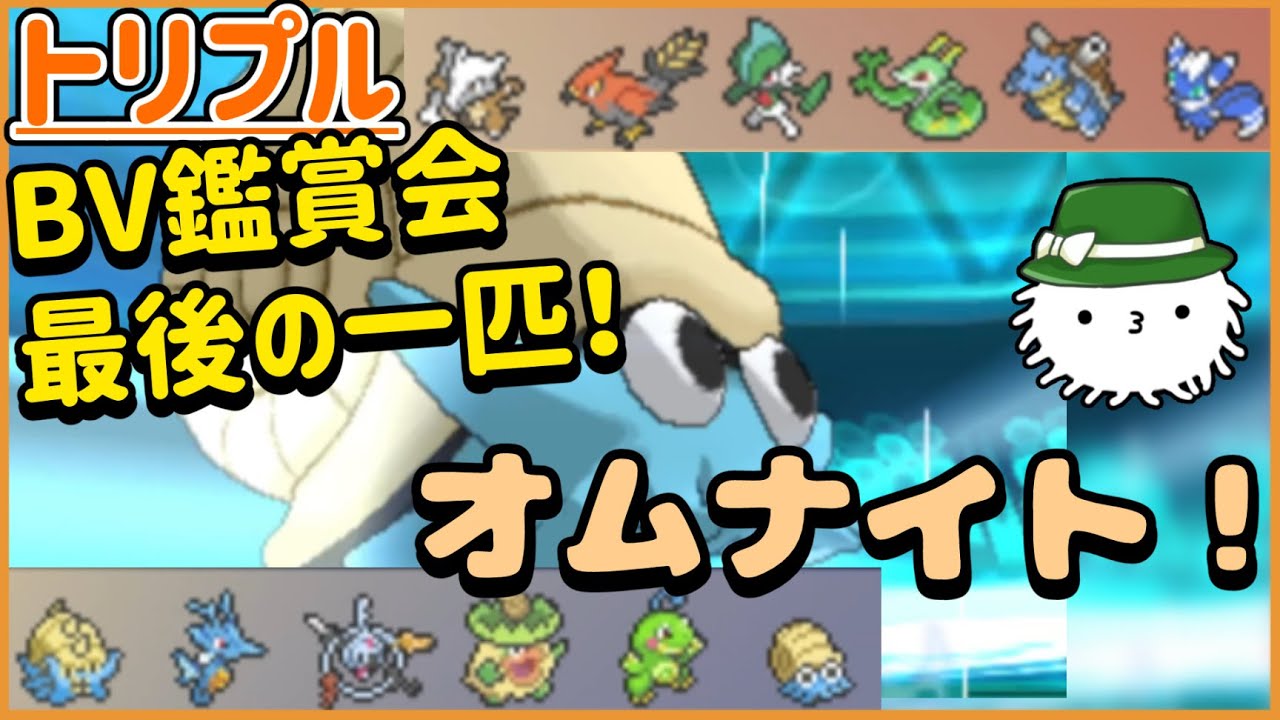 【ORASトリプル】BV鑑賞会最後に登場したのはオムナイト！これで全てのポケモンコンプリートだ！！！！【トリプルバトル】