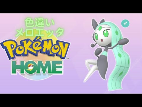【＃ポケモンsv】1000人突破目前！ついにポケモンHOME完成？！色違いメロエッタ入手？